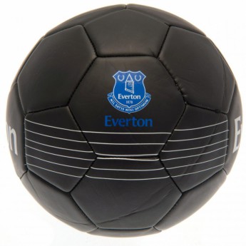 Everton FC футболна топка Skill Ball RT - size 5