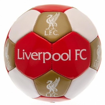 Liverpool FC футболен комплект water bottle - hand pump - size 3 ball
