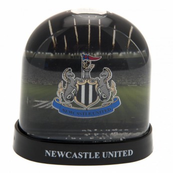 Newcastle United снежен купол Stadium Snow Dome