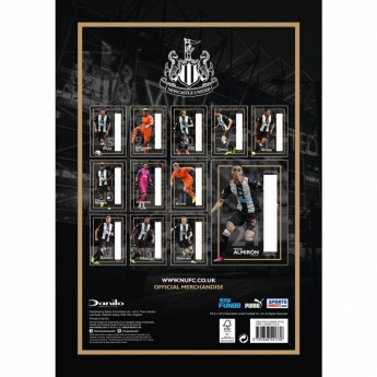 Newcastle United календар 2020 Team A3
