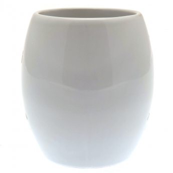 Tottenham Hotspur халба tea tub mug white