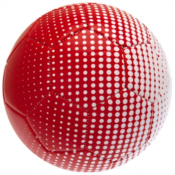 FC Bayern Munich футболна топка Football FD