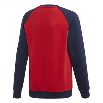 Arsenal FC детски суитшърт 19 crew