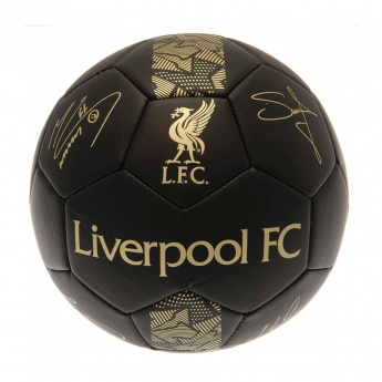 Liverpool FC мини футболна топка Skill Ball Signature Gold PH size 1