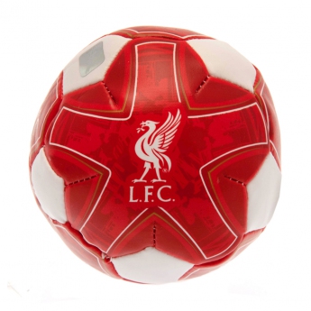 Liverpool FC мека топка 4 inch Soft Ball
