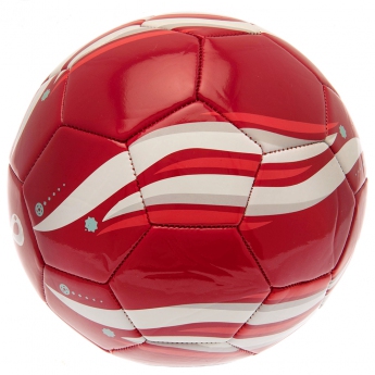 Футболни отбори футболна топка 2022 Phoenix Football size 5