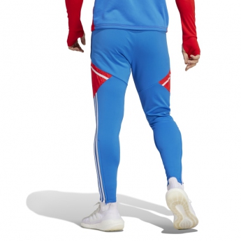 FC Bayern Munich мъжки панталон Training royal
