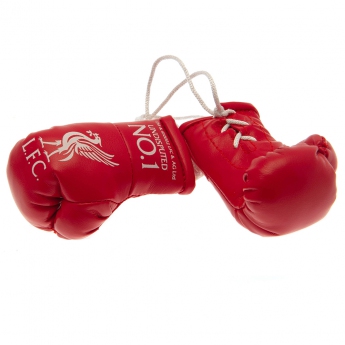 Liverpool FC мини боксови ръкавици Mini Boxing Gloves RD