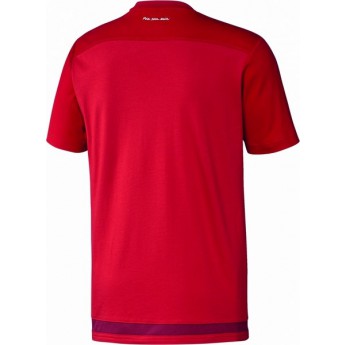 Bayern Mnichov pánské tričko zwei rote