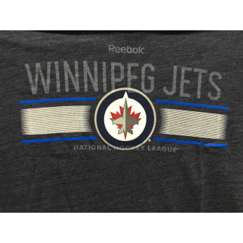 Winnipeg Jets мъжка тениска Stripe Overlay navy