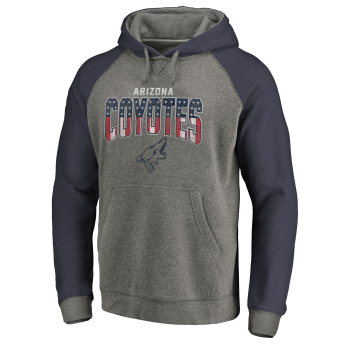 Arizona Coyotes мъжки суитшърт с качулка grey Freedom Tri-Blend Raglan