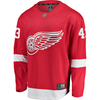 Detroit Red Wings хокейна фланелка #43 Darren Helm Breakaway Alternate Jersey