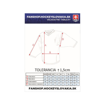 Отбори по хокей хокейна фланелка blue Slovakia