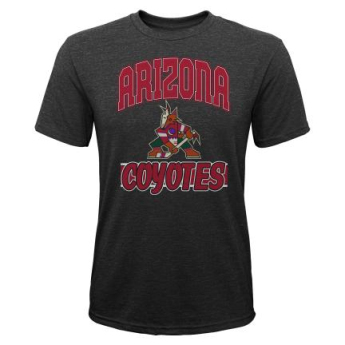 Arizona Coyotes детска тениска All Time Great Triblend black