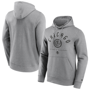 Chicago Blackhawks мъжки суитшърт с качулка College Stamp Hoodie grey