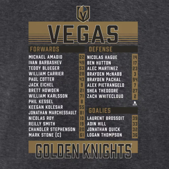 Vegas Golden Knights мъжка тениска 2023 Stanley Cup Champions Roster Heather Charcoal