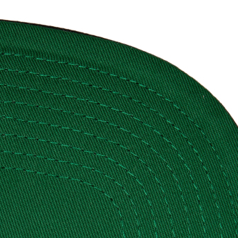 Philadelphia Flyers шапка с козирка flat Retro Sport Snapback Vntg