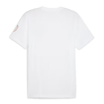 Футболни отбори мъжка тениска Czech republic Ftblicons Tee white