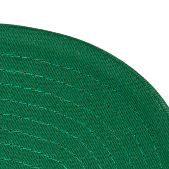 Dallas Stars баскетболна шапка с козирка Tail Sweep Pro Snapback Vintage