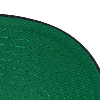 Florida Panthers баскетболна шапка с козирка Tail Sweep Pro Snapback Vintage