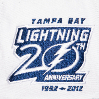 Tampa Bay Lightning баскетболна шапка с козирка Tail Sweep Pro Snapback Vintage