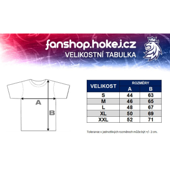 Отбори по хокей дамска тениска grey Czech Ice Hockey logo lion