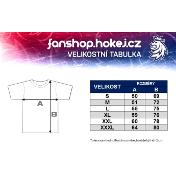 Отбори по хокей мъжка тениска grey Czech Ice Hockey logo EST 1908