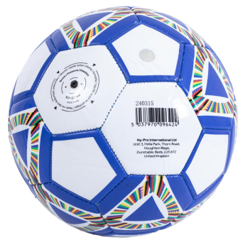 EURO 2024 футболна топка Blue size - 5
