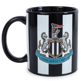 Newcastle United халба Striped