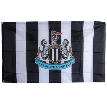 Newcastle United знаме Striped