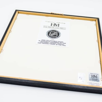 Boston Bruins картина Highland Mint NHL David Pastrňák