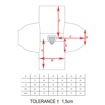 Отбори по хокей хокейна фланелка Radko Gudas #3 CCM Czech republic red