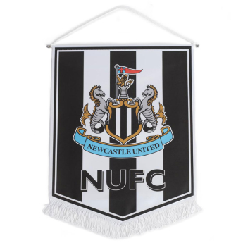 Newcastle United знаменце Large Crest