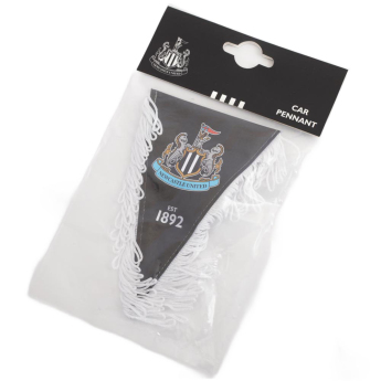 Newcastle United знаменце Triangular Mini