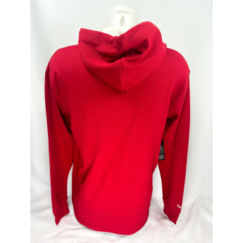 Detroit Red Wings мъжки суитшърт с качулка Thermal Lightweight Hoodie Current Logo