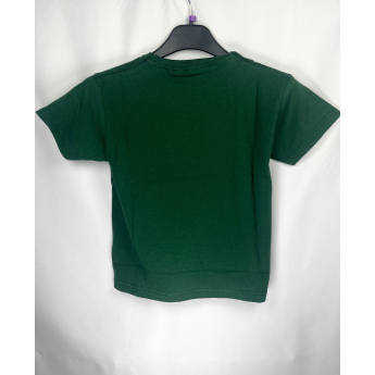 Minnesota Wild детска тениска Primary Logo