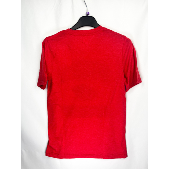 Minnesota Wild детска тениска All Time Great Triblend