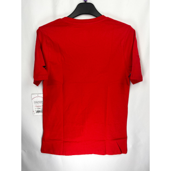 Detroit Red Wings детска тениска Apro Wordmark Ss Ctn Tee