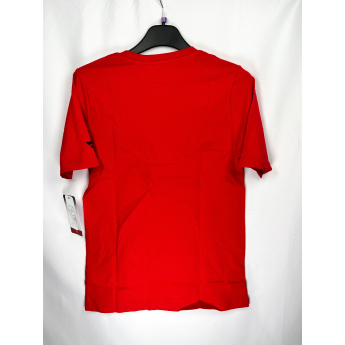 Chicago Blackhawks детска тениска Apro Wordmark Ss Ctn Tee red