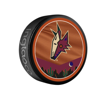 Arizona Coyotes шайба reverse retro jersey souvenir collector hockey puck