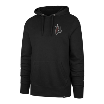 Arizona Coyotes мъжки суитшърт с качулка Imprint Backer 47 Burnside Hood