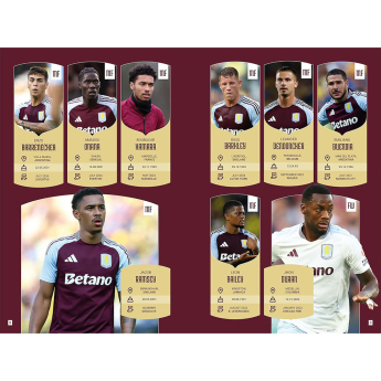 Aston Villa книга с години 2025