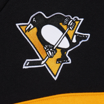 Pittsburgh Penguins мъжки суитшърт с качулка Head Coach Hoodie Current Logo