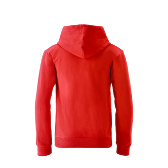 FC Bayern Munich детски суитшърт с качулка Essential red