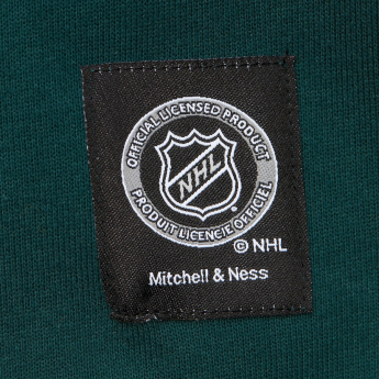 Minnesota Wild мъжки суитшърт с качулка Retro Fleece Current Logo