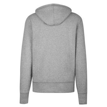 Ottawa Senators мъжки суитшърт с качулка 47 Knockaround Headline grey