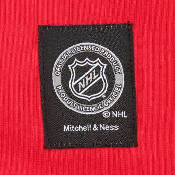 Florida Panthers мъжки суитшърт с качулка Retro Fleece Current Logo