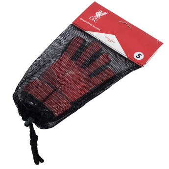 Liverpool FC детски вратарски ръкавици Fuse Goalkeeper Gloves Kids 67-73mm palm width