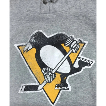 Pittsburgh Penguins мъжки суитшърт с качулка grey Knockaround Headline