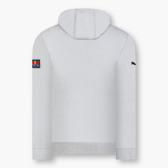 Red Bull Racing мъжки суитшърт с качулка Dynamic Bull II grey F1 team 2024